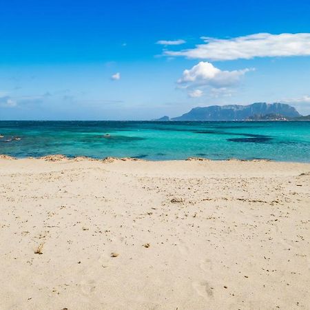 Le Dimore Di Nettuno Ольбия Экстерьер фото