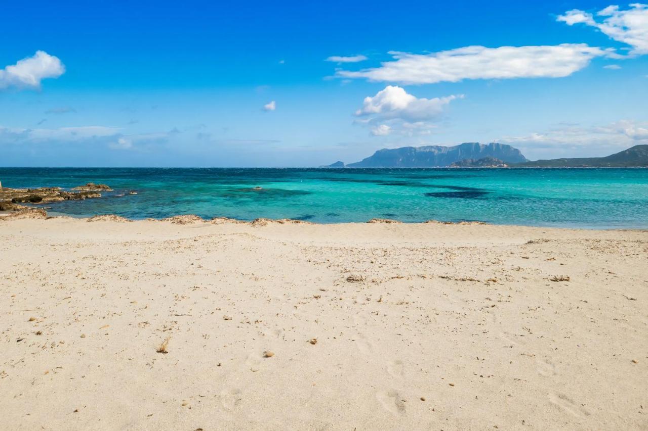 Le Dimore Di Nettuno Ольбия Экстерьер фото